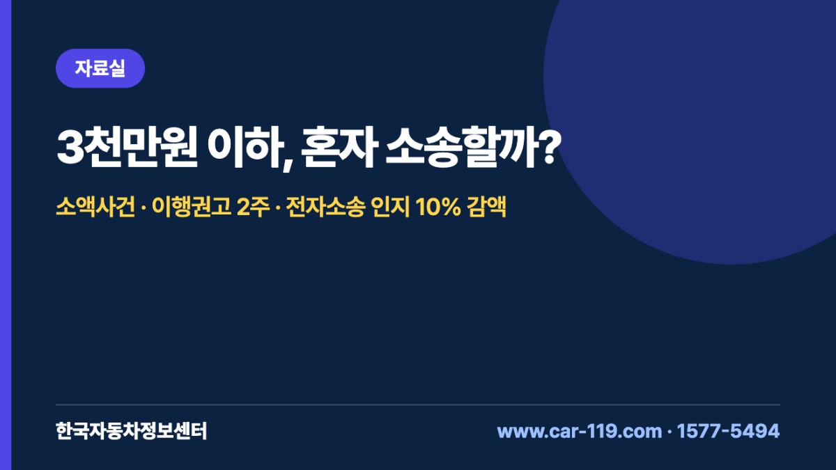 3천만원 이하, 혼자 소송할까?
