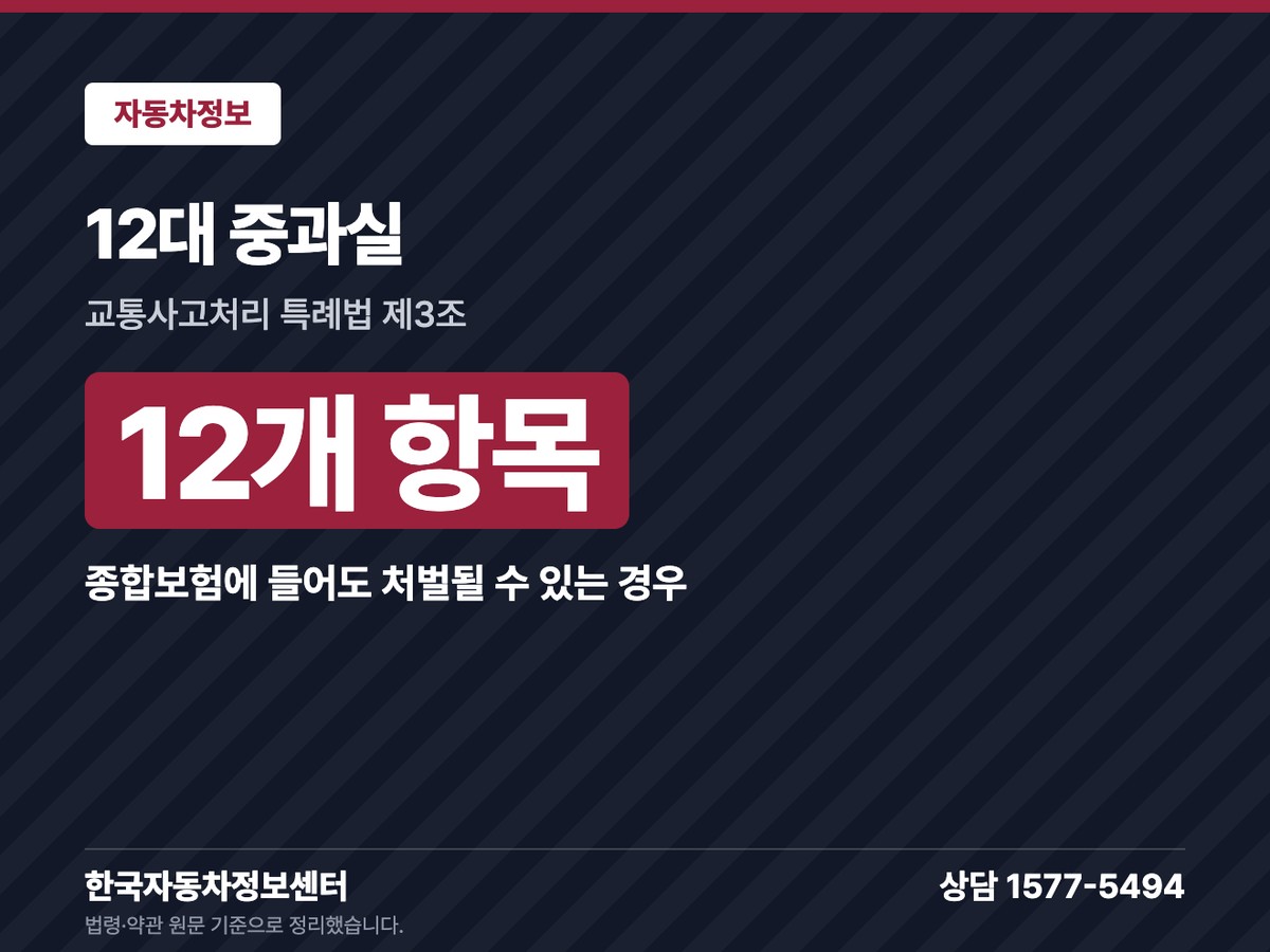 12대 중과실 12개 항목
